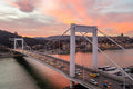 Elizabeth Bridge at sunset #5493