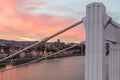 Elizabeth Bridge at sunset #5494