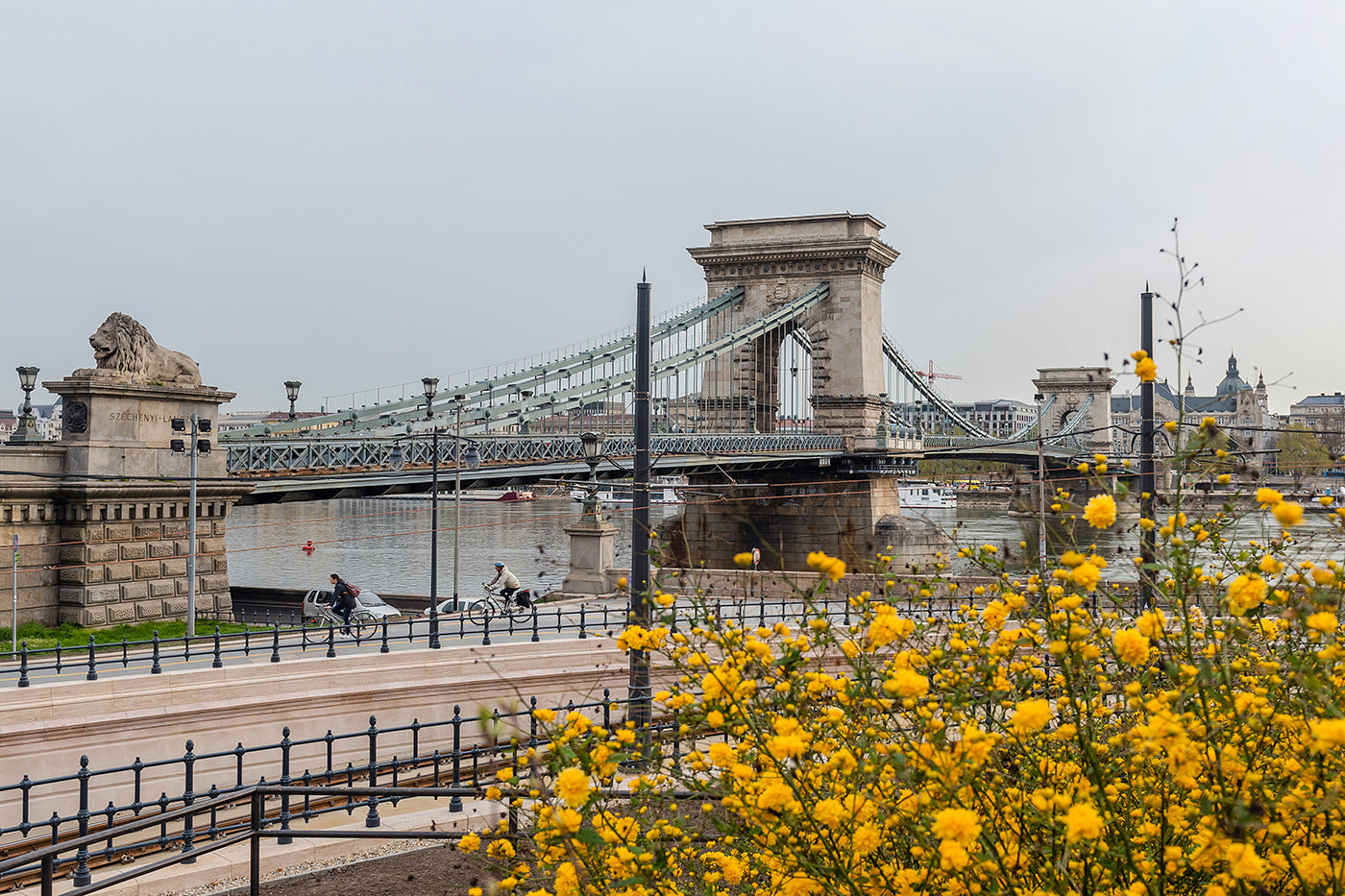 Chain Bridge in Spring #5545