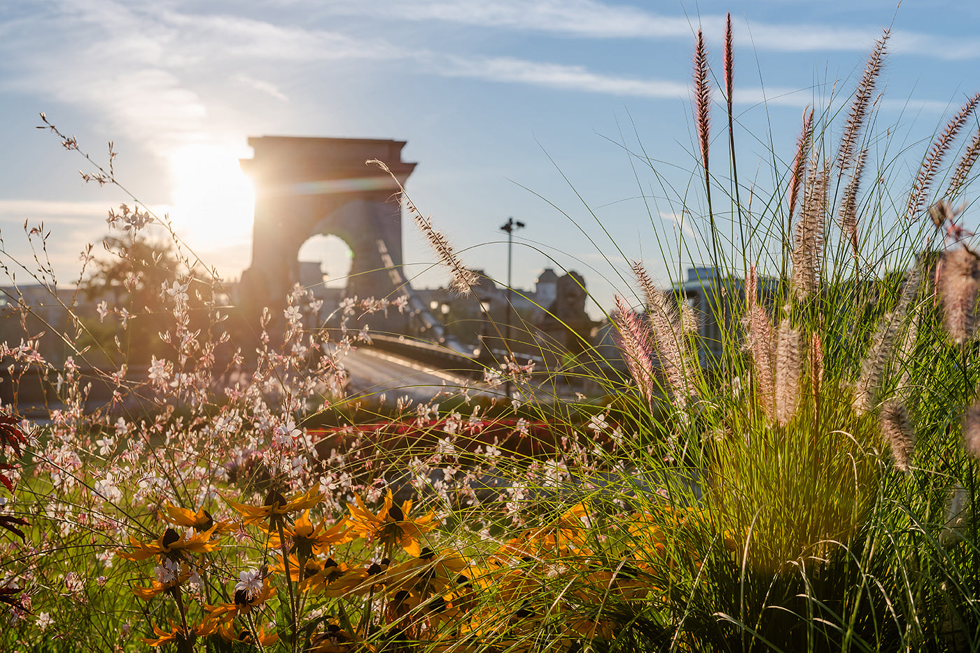Chain Bridge after sunrise #5546