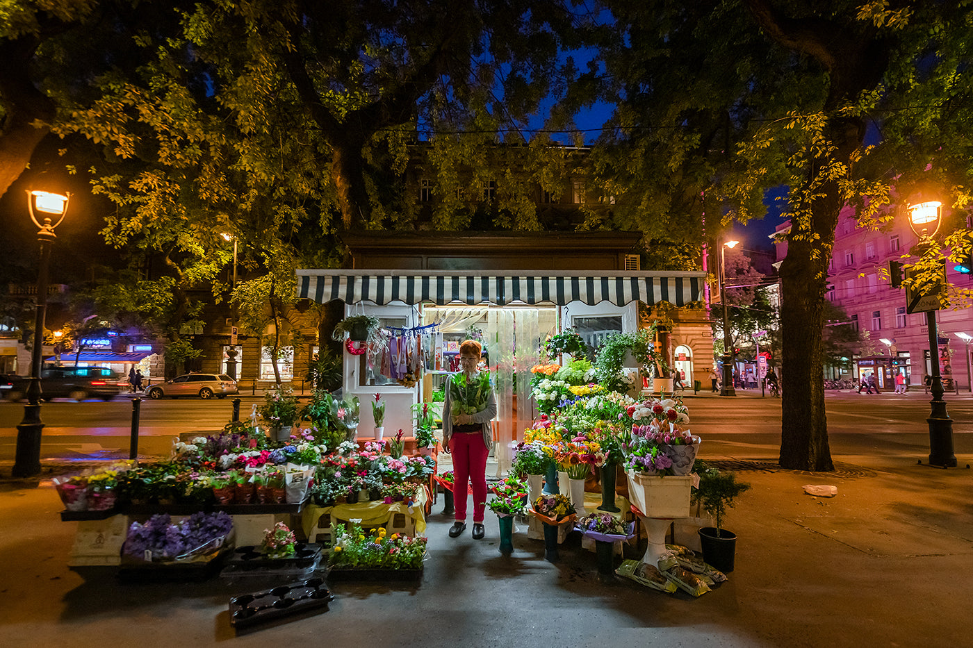 Florist at Oktogon #5580