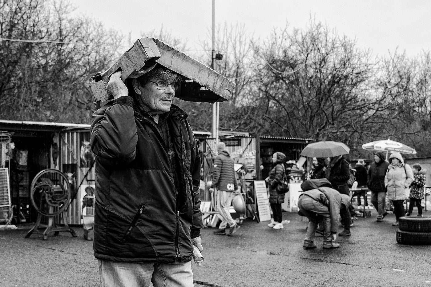 Life picture from the Buda Fair #5627