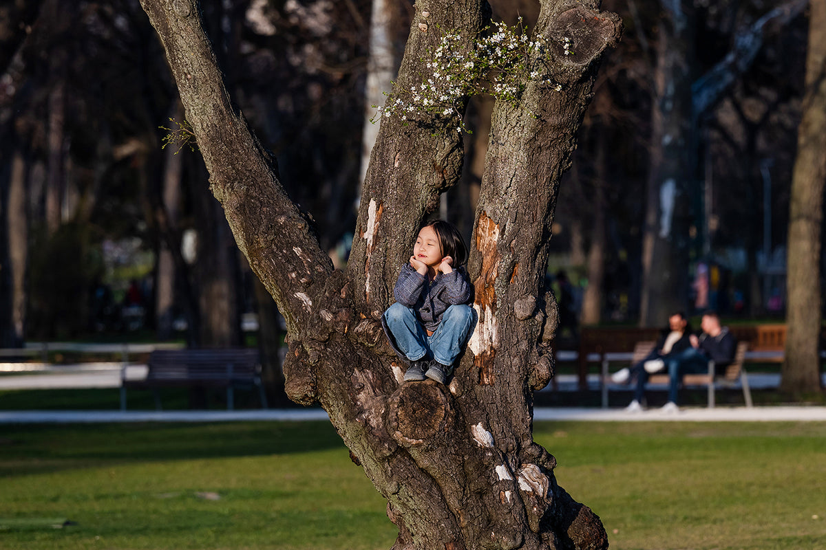 Child sitting on a tree in the City Park #5681