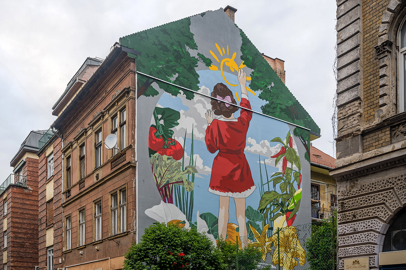 Mural on Szövetség Street #5703