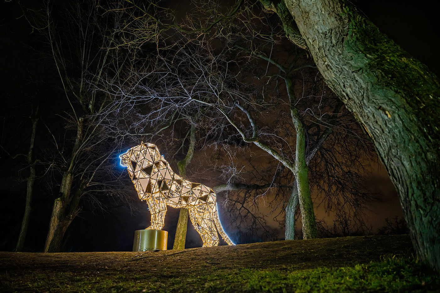 Lumina Park on Margaret Island #5712