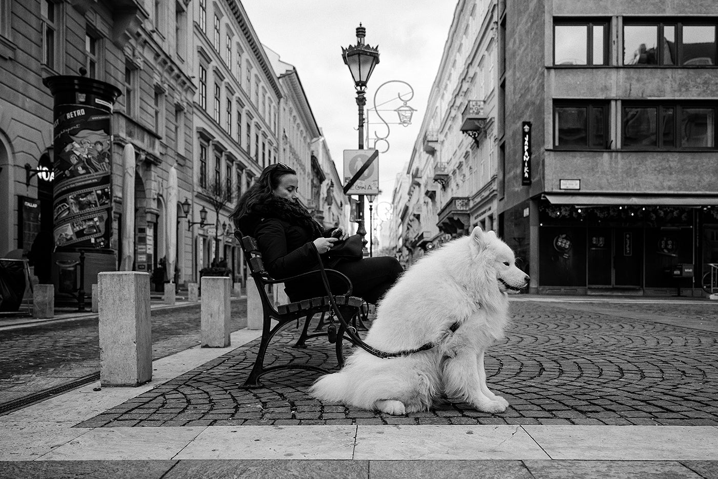 Dog on Saint Stephen's Square #5760