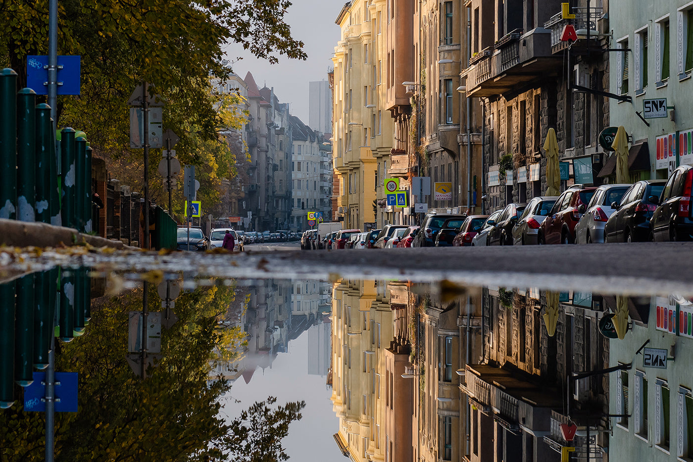 Budafok Road in Autumn #5814