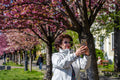 Cherry blossoms on the Tóth Árpád promenade #5835