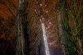 Sky-high ladder in Lumina Park #5836