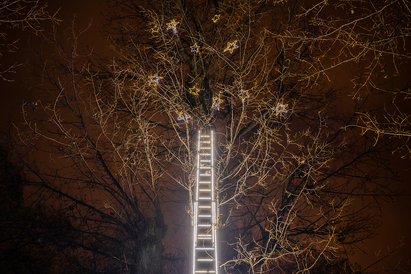 Sky-high ladder in Lumina Park #5837