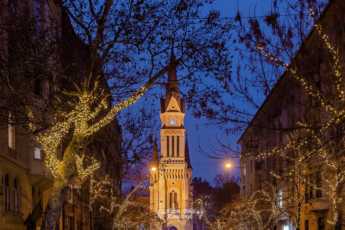 Assisi Szent Ferenc plébániatemplom Karácsonykor #5864