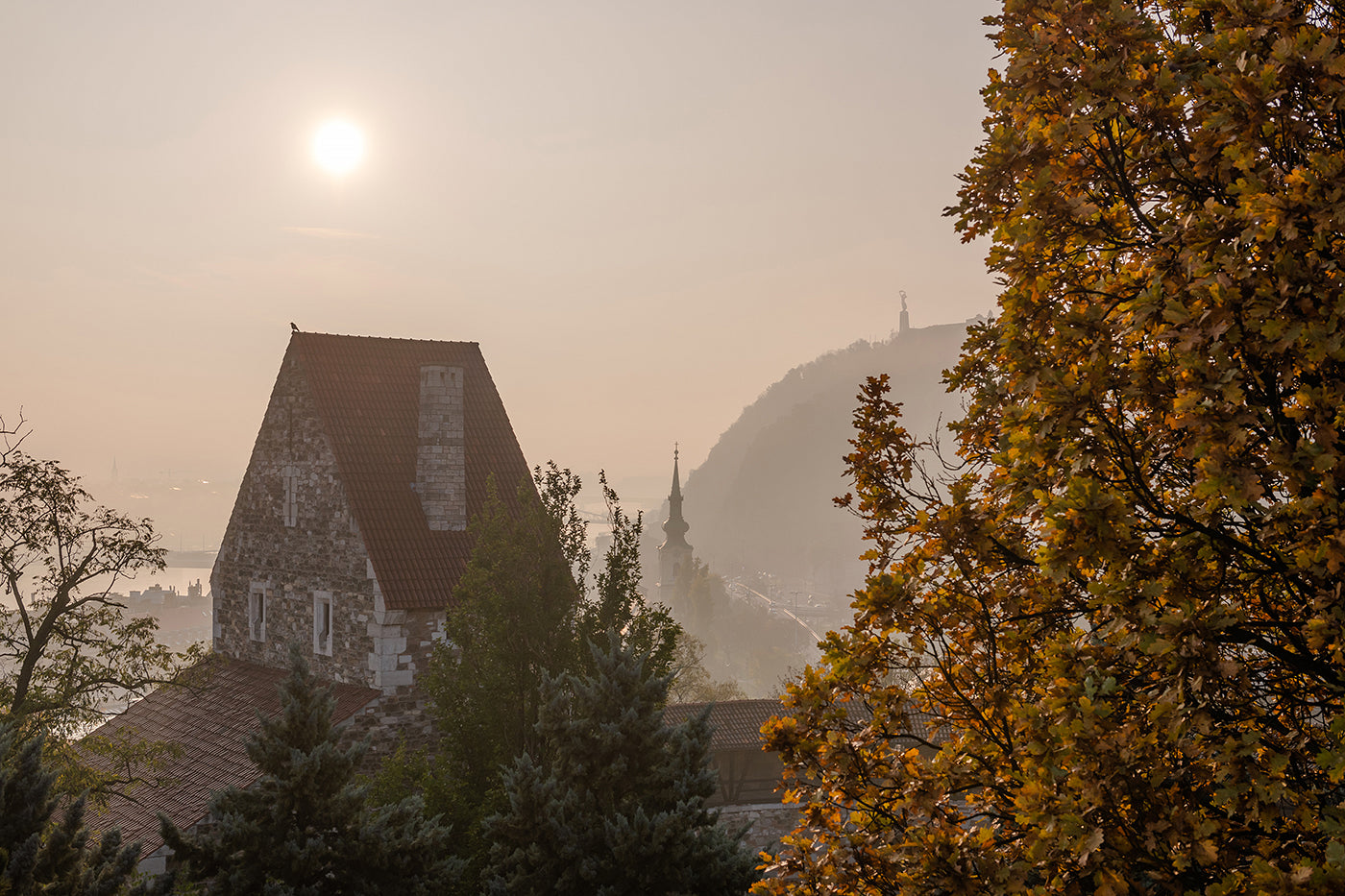 Buda Castle on an autumn morning #5896