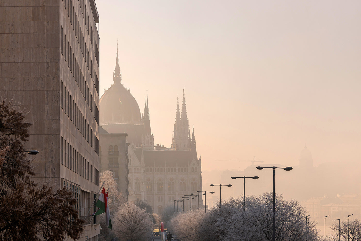 Parliament in the morning mist #5900