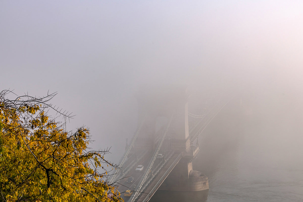 Chain Bridge from the Castle in the fog #5922