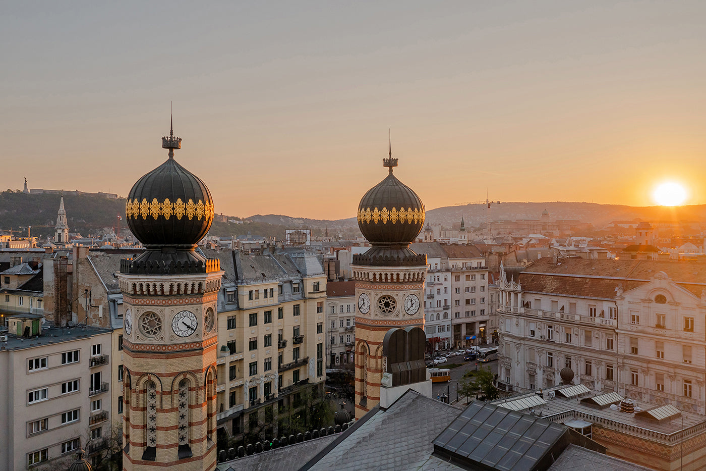 Towers of the Dohány Street Synagogue #6065