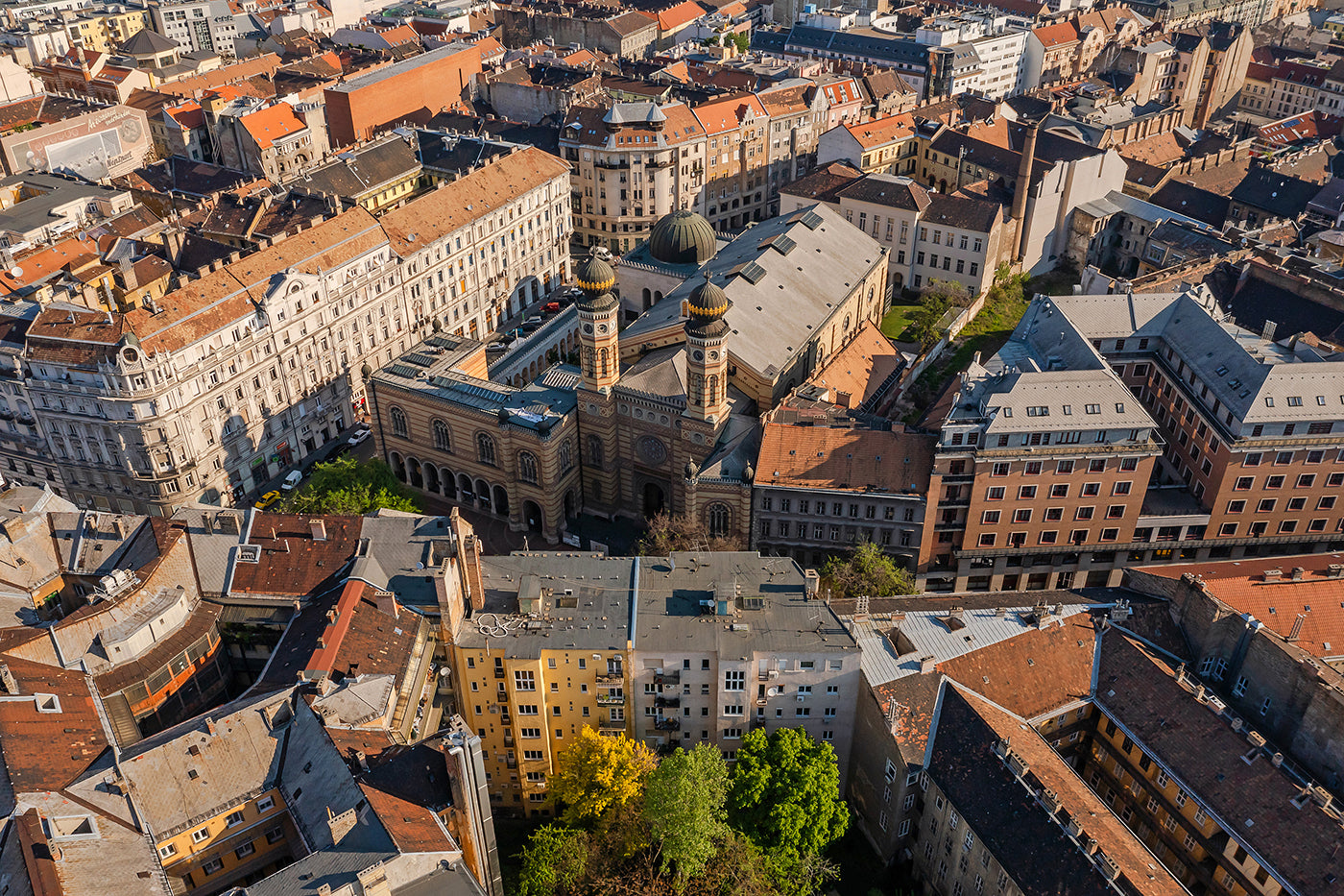Dohány Street Synagogue from a bird's eye view #6070