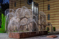 Emanuel memorial tree in the garden of the Dohány Street synagogue #6076