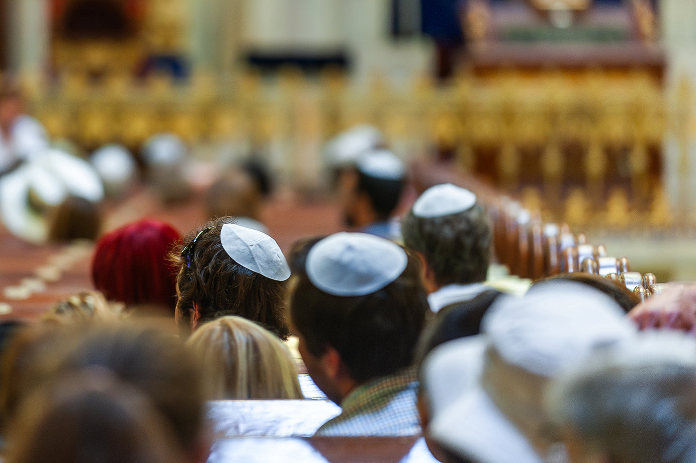Kipak in the Dohány Street Synagogue #6081