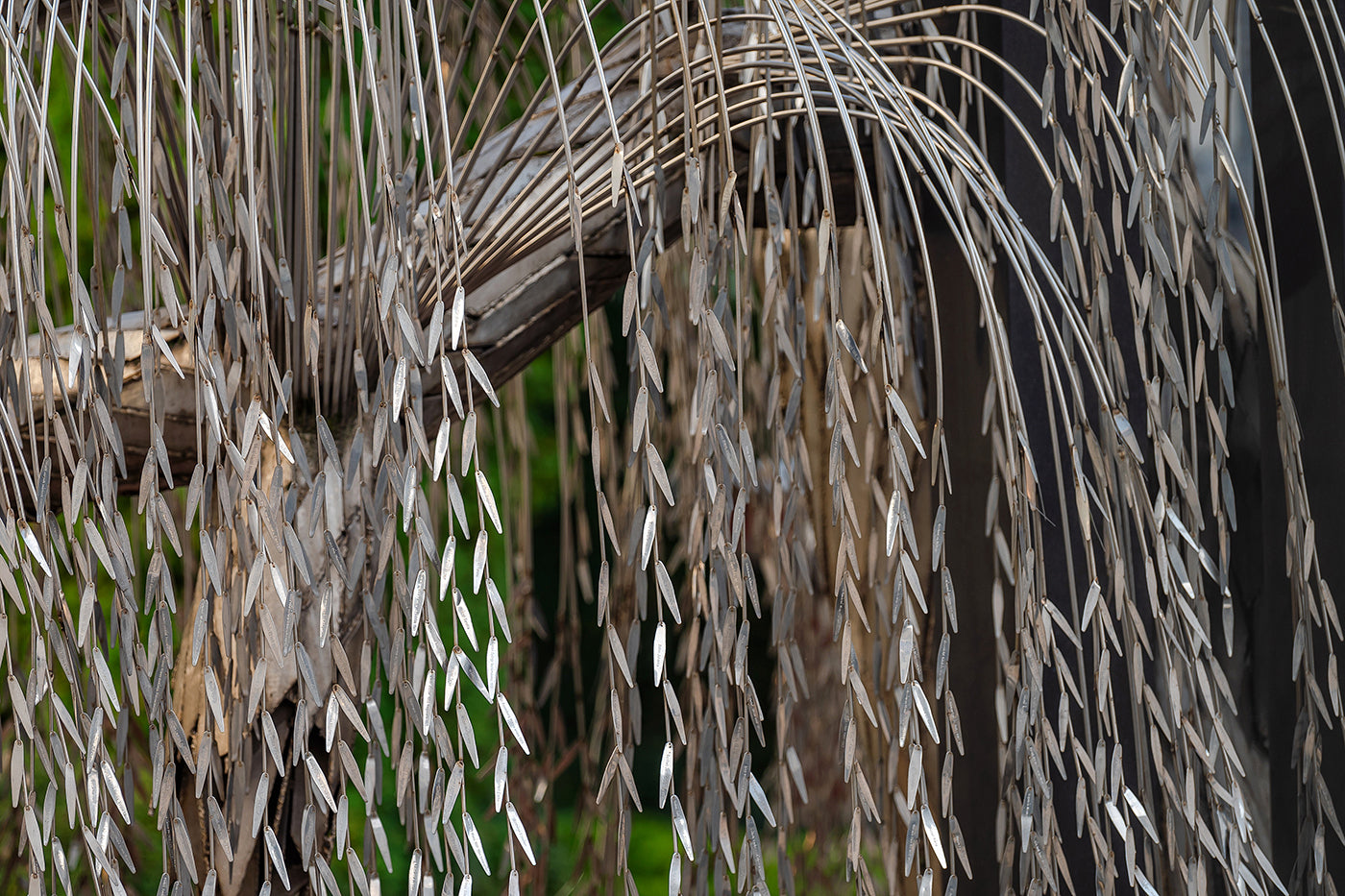 Emanuel memorial tree in the garden of the Dohány Street synagogue #6092