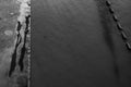 Flood on the quay #6103