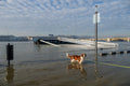 Flood on the quay #6112