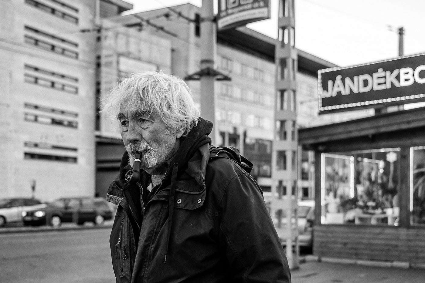Portrait at the Stadiums #6143