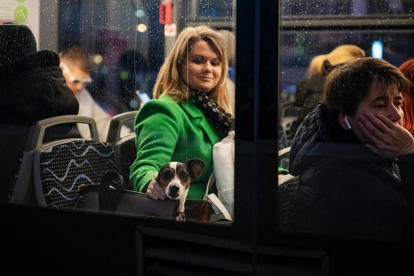 Kutya a buszon a Keletinél #6231