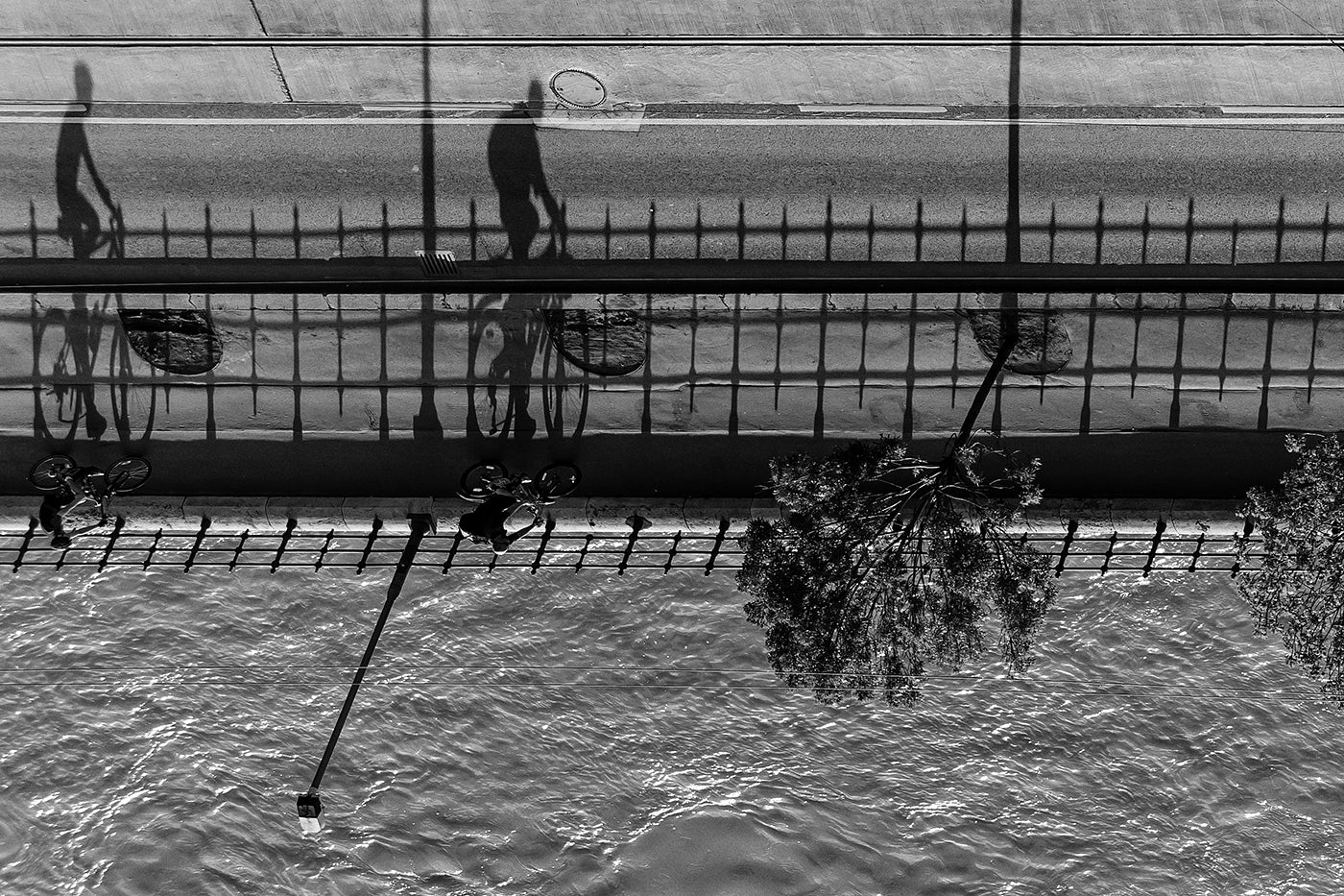 Cyclists on the Danube Bank #6275