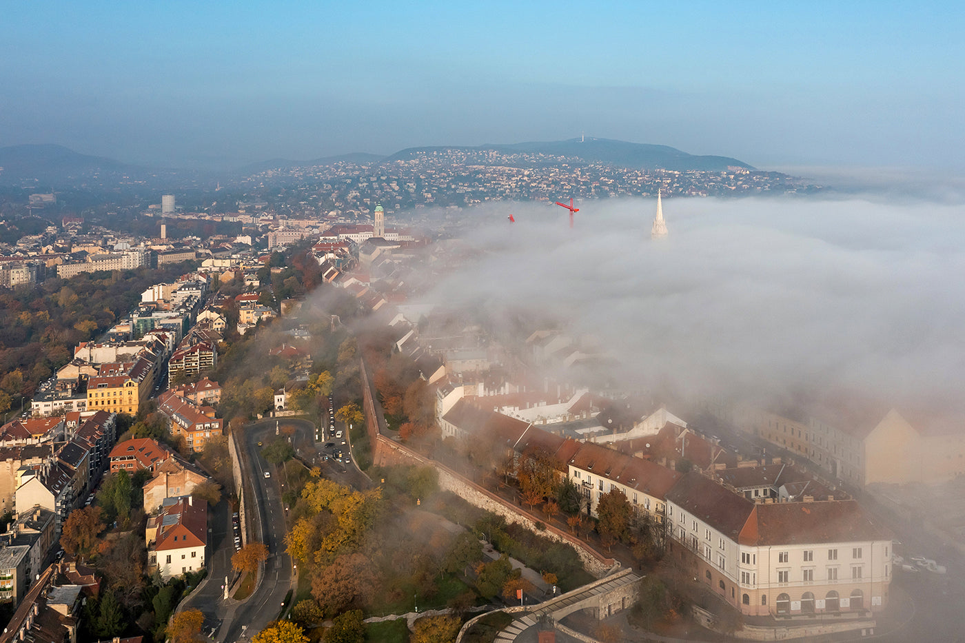 Morning fog over the Buda Castle District #6290