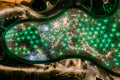 Budapest – Biodome from Above | Fine Art Giclée Photo Print and Wall Art