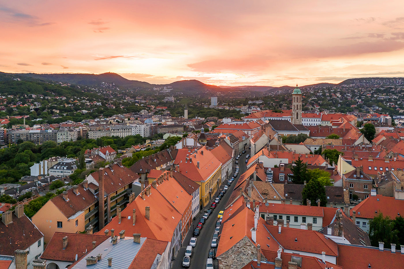 Sunrise over the Buda Castle District #6307