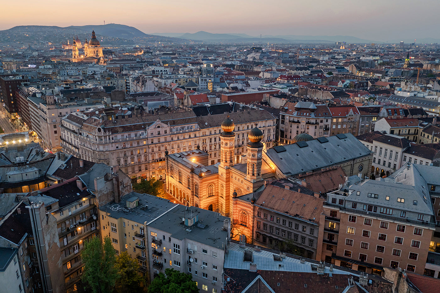 Dohány Street Synagogue from above #6372