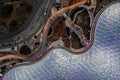 Biodome from above #6421