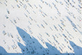 Skaters on the Ice Rink from above #6434
