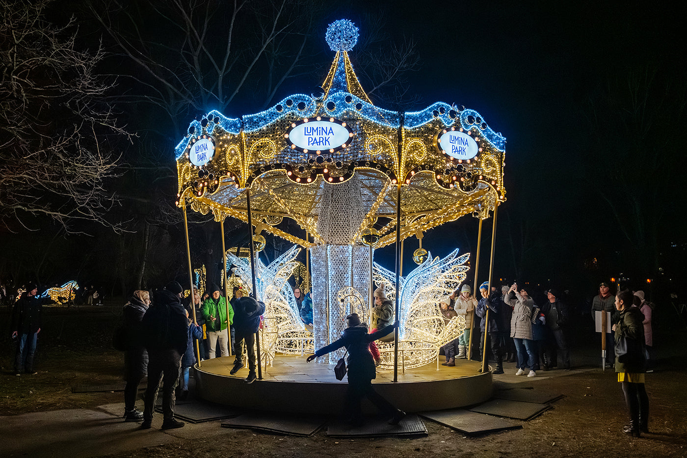 Carousel in Lumina Park #6590