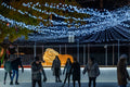 Skaters in the City Hall Park #6599