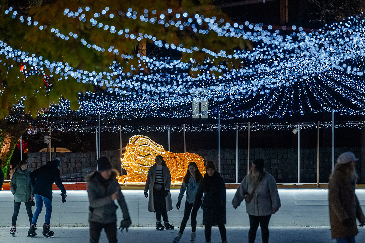 Skaters in the City Hall Park #6599