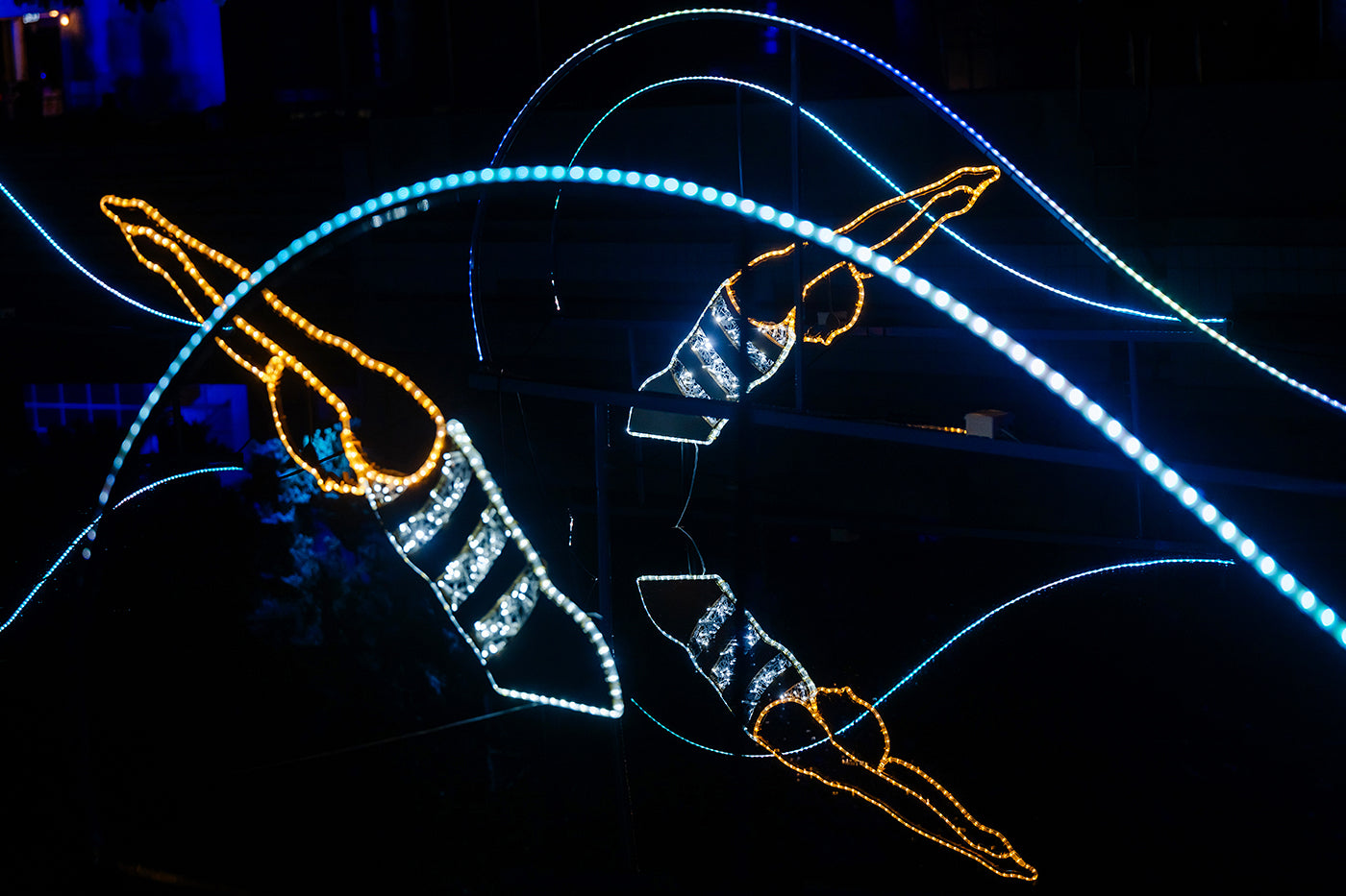 Synchronized swimmers at Lumina Park #6616