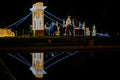 The Chain Bridge and the Parliament in Lumina Park #6619