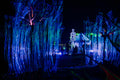 Robot in Lumina Park #6636