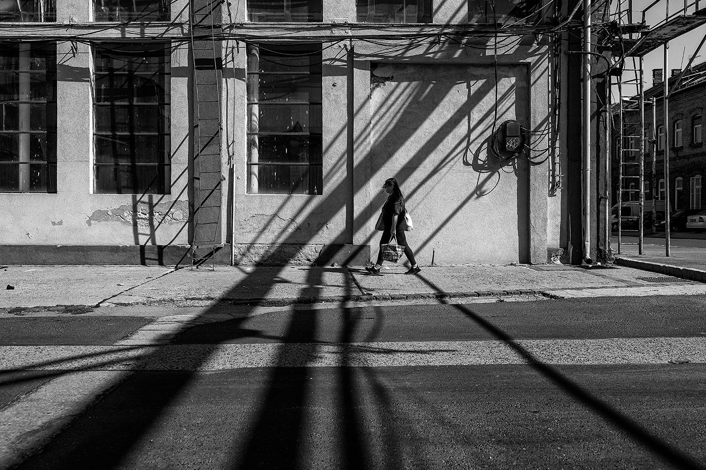 Csepel Shadows #6640