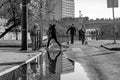 Flood on the quay #6712