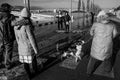 Dog on the quay during a flood #6720