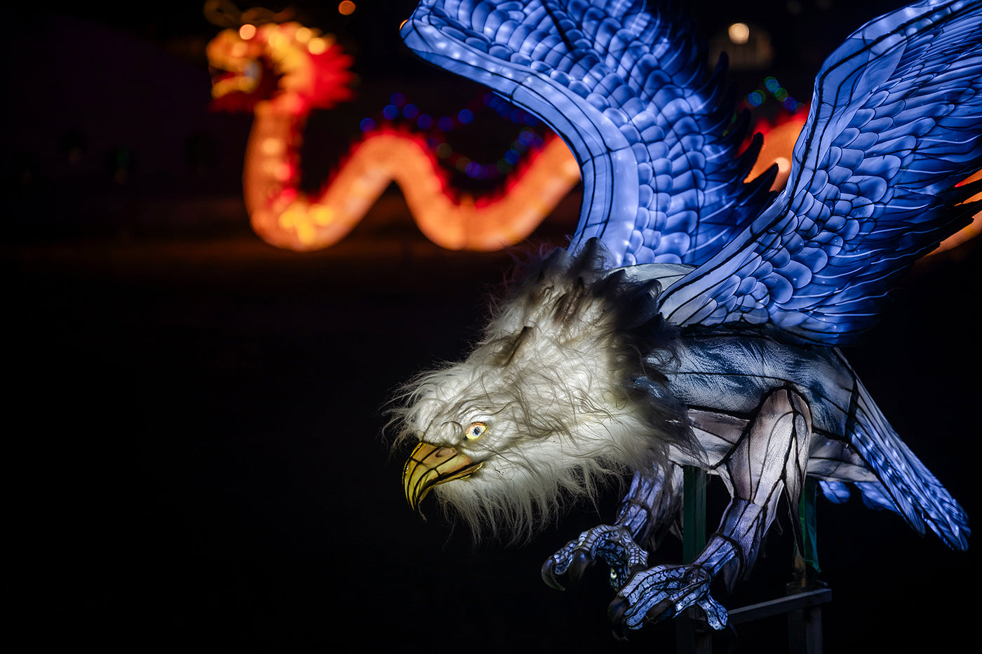 Year of the Dragon Lantern Festival at the Biodome #6725
