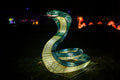 Year of the Dragon Lantern Festival at the Biodome #6727