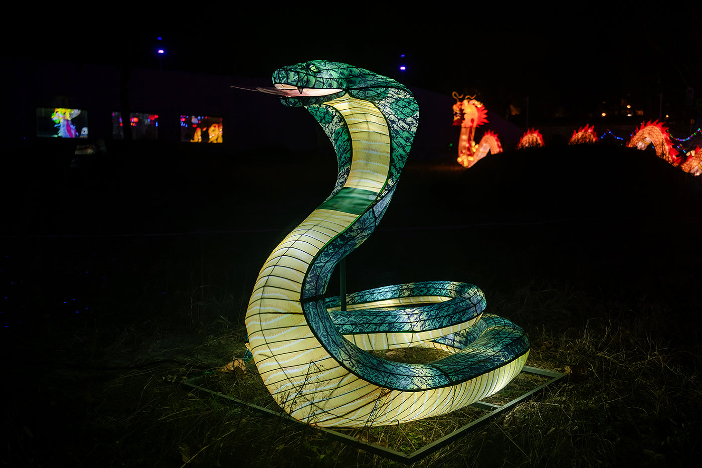 Sárkány Éve Lampion Fesztivál a Biodómnál #6727
