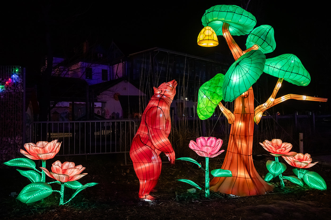 Year of the Dragon Lantern Festival at the Biodome #6730