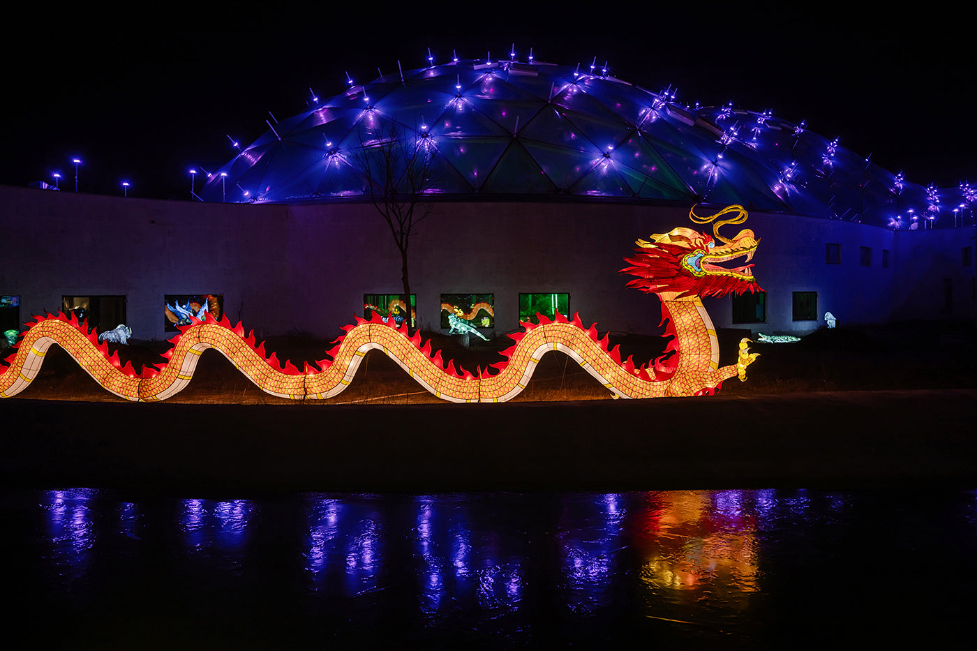Year of the Dragon Lantern Festival at the Biodome #6731