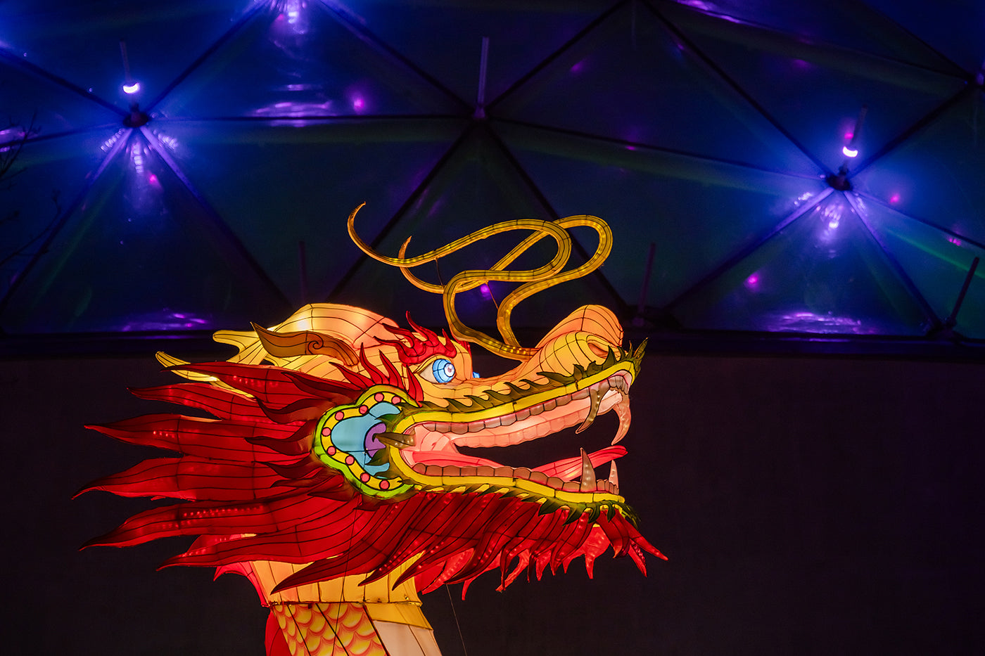 Year of the Dragon Lantern Festival at the Biodome #6732