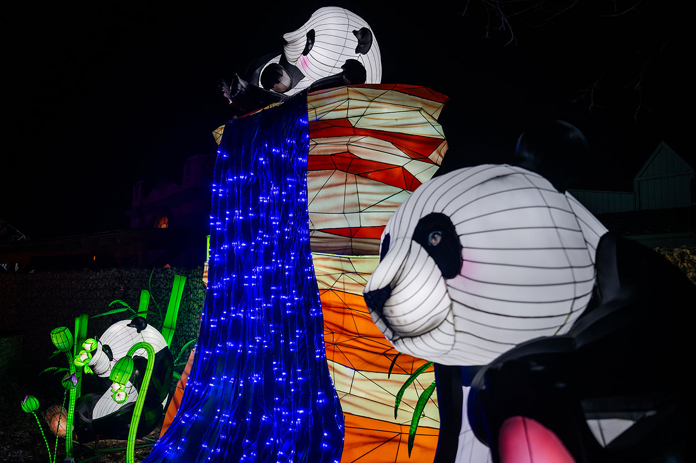 Year of the Dragon Lantern Festival at the Biodome #6733